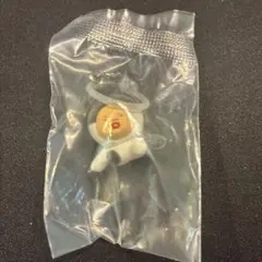 こびとづかん　めじるしフレンズ2 カクレケダマ