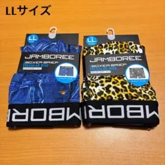 Item thumbnail for item a6b0f0d1-bbc4-48fd-845f-9332289e9a24