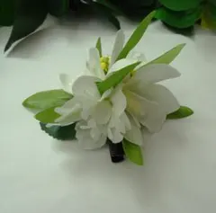 Item thumbnail for item afa99aac-152a-41b9-925d-4e70e83dd6e3