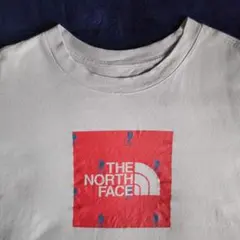 THE NORTH FACE Tシャツ ◀Ｌ▶ U.S古着 アメカジ