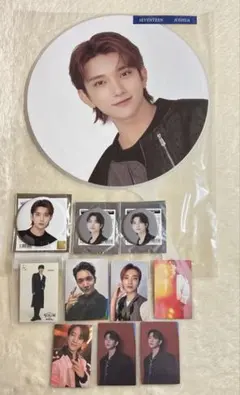 SEVENTEEN ジョシュア うちわ 缶バッジ トレカ ステッカー セット