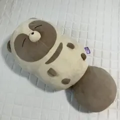 タグ付き タヌキとキツネ すやすやフレンド おうちでリラックス キツネ
