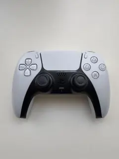 Item thumbnail for item 2923f1c2-b1ab-4b21-8b5c-e5a2f0e793f4