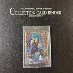 極完全美品‼️コレクション用‼️状態詐欺なし‼️状態極良好‼️