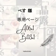 ペす様 リクエスト 2点 まとめ商品