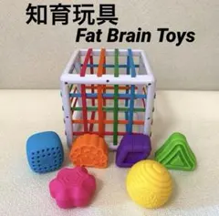 Fat Brain Toys Oombee Cube 知育玩具