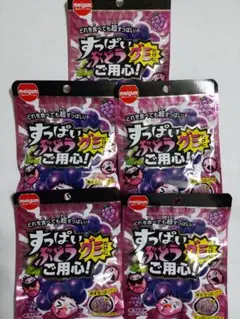 すっぱいぶどうにご用心！ グミ 5袋セットのサムネイル