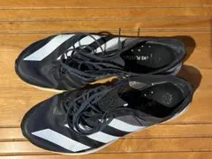 Item thumbnail for item d862b9a4-8cf8-491d-bc1f-307ffc289f8f