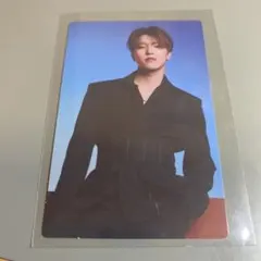 SEVENTEEN トレカ パワラブ ディノ