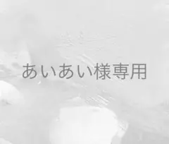 あいあい様 リクエスト 2点 まとめ商品