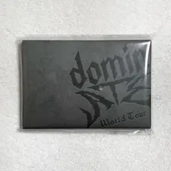 StrayKids スキズ dominATE アプグレ トレカケースのみ