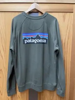 P6ロゴ オーガニック クルースウェット STY39603FA20 L