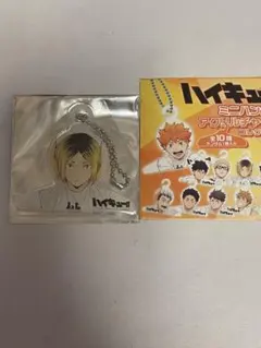 ハイキュー　ミニハンガーアクリルチャームコレクション