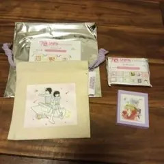 ときめきトゥナイト 巾着　マグネット　新品