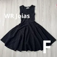 【WR Joias】美シルエット ニットワンピース フレア ストライプ 黒 F