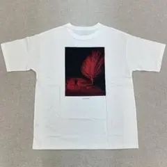 藤井風 Lonely Rhapsody Tシャツ M ロンリーラプソディ