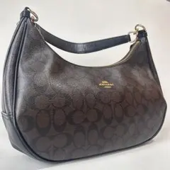 COACH コーチ シグネチャー 2WAYショルダーバッグ ブラウン×ブラック