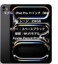 2026年最新】ipad pro 11 m4 256gbの人気アイテム - メルカリ