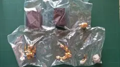 ドラゴン ガチャガチャ