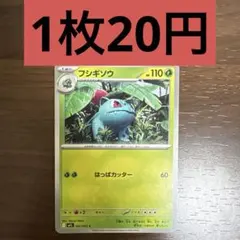 フシギソウ C 残り3枚のサムネイル