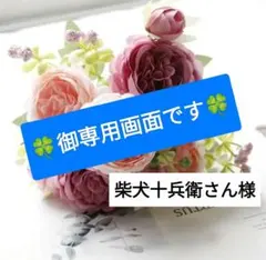 Item thumbnail for item 48a0e622-158d-4fb8-83da-a03e1903c89b