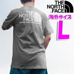 ノースフェイス Tシャツ グレー バックプリント 海外L 日本LL相当 tbk