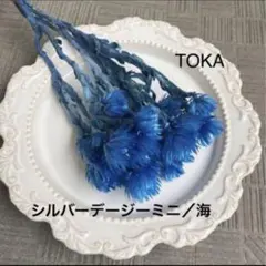 オリーブグリーン様　ご専用