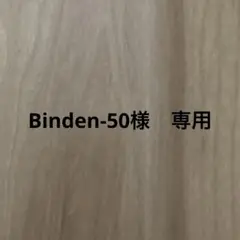 Binden-50様専用　Polar skate converse cons