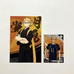 ハイキュー!! 月島蛍 購入特典 アニメイト ポストカード クリアカード