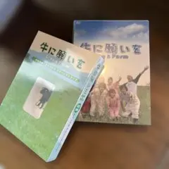 Item thumbnail for item d348bb6c-bf57-4cf5-8fd9-54dc461599b9