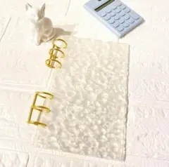 ◆韓国人気バインダー◆A6 アクリルバインダー貯金saving家計管理クリア波紋