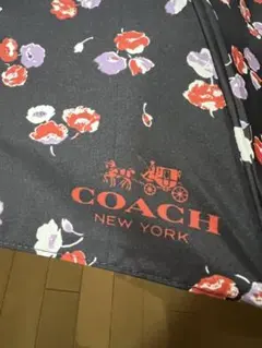 Item thumbnail for item 097f34c1-98ba-4156-a0fd-07ce95399086