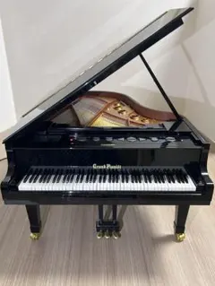 完動品⭐️SEGA TOYS Grand Pianist グランドピアノ - メルカリ