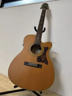 2025年最新】EPIPHONE masterbiltの人気アイテム - メルカリ