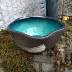 信楽焼 陶器 めだか鉢 睡蓮鉢 ブルー(大)37cm - メルカリ