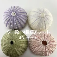 キジバト様 リクエスト 2点 まとめ商品