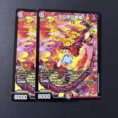 一王ニ命三眼槍　バラドヴィナシューラ