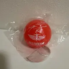 岩田剛典 サインボール 貴重】岩田剛典 EXILE RED PHOENIX サインボールレプリカ - メルカリ