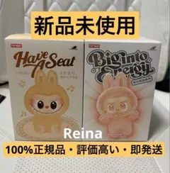 新品正規品THE MONSTERS LABUBU 2点セット