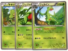 ポケモンカード キモリ ジュプトル ジュカイン 進化セット3枚 グロウヒーリング