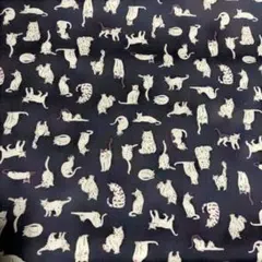ネコ 生地