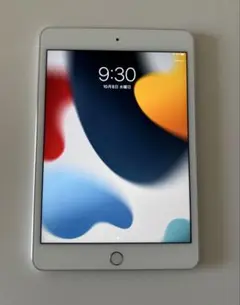 Apple iPad mini 4 美品　バッテリー容量92%