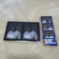 アルビレックス新潟 舞行龍ジェームズ ラッフルくじ グッズ セット