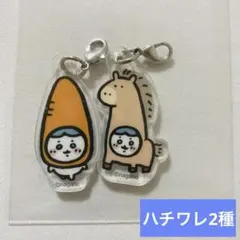 ハッピーバッグ 福袋 2026 アクリルキーホルダー ハチワレ 2種 馬 午年