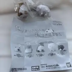 怒ったもふもふの猫ちゃあぁぁん2匹セット