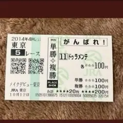 2026年最新】ドゥラメンテ 馬券の人気アイテム - メルカリ