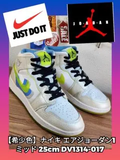 【希少色】ナイキ エアジョーダン1 ミッド 25cm DV1314-017