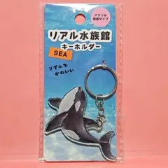 2026年最新】名古屋港水族館 シャチ キーホルダーの人気アイテム
