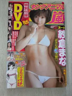 ヤングアニマル 嵐 2014年 No.6　紗倉まな