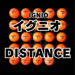 3※イグニオ DISTANCE ロストボール24球